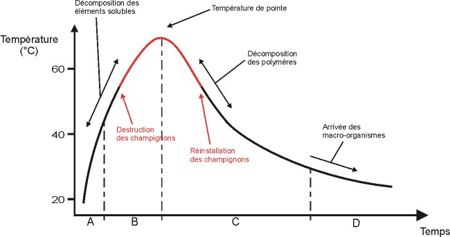 Graph showing the 4 composting phases with temperature curve