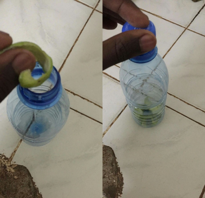 Methanisation experiment — bottle with fruit peelings